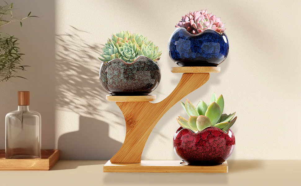 Succulent Ceramic Pot Planter with Bamboo Drainage Tray Trio